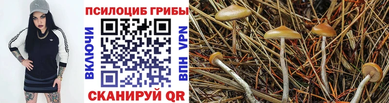 Галлюциногенные грибы Magic Shrooms Эртиль