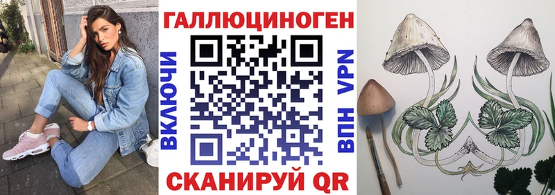 Купить закладки  Эртиль  Псилоцибиновые грибы Psilocybe 